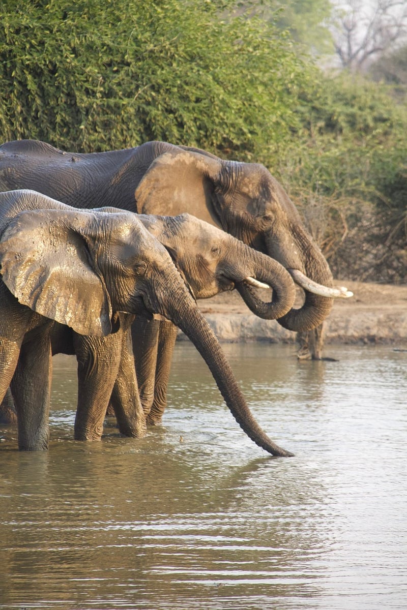 Kruger National Park